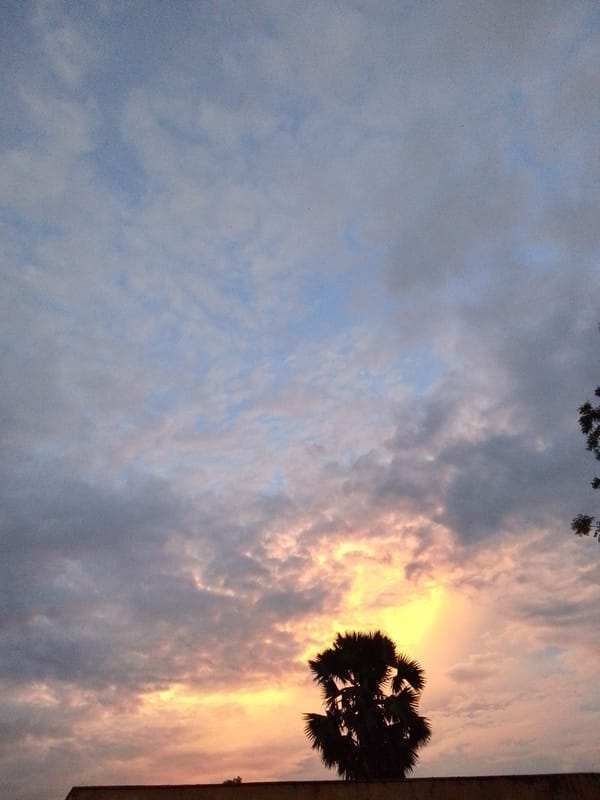 Dusk in Serti: snails, toads, and a slow Nigerian sunset
