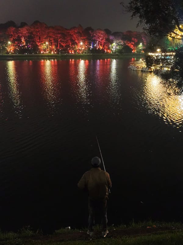 Evening scenes documented around illuminated Da Lat lake