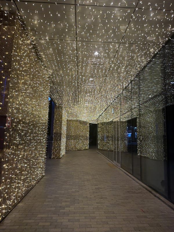 Moscow evening captures decorative lights and floral displays