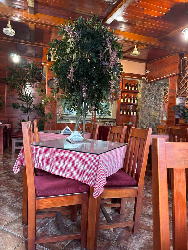 Evening walkabout documented across Budva's promenades and establishments