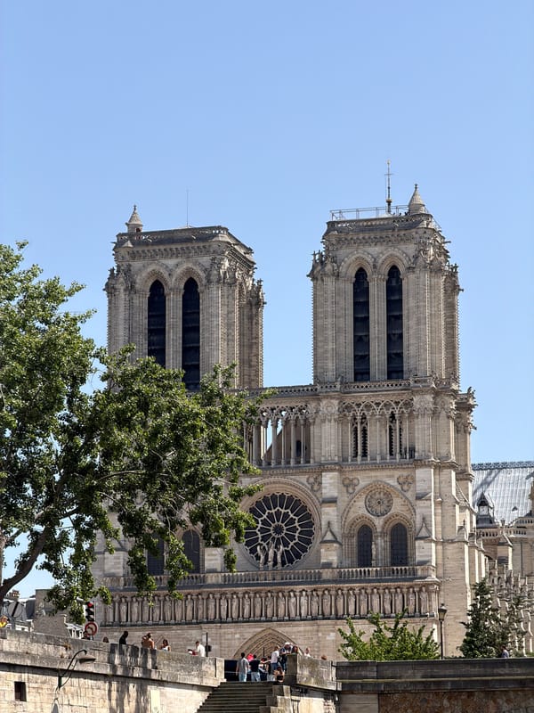 Notre Dame Cathedral photographed from low angle in Paris