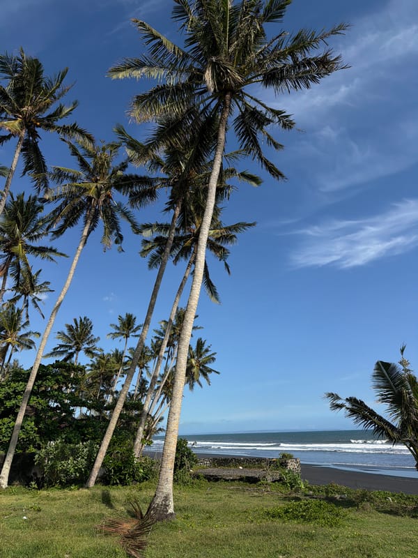 Morning tourism activities documented in Kerambitan, Indonesia beaches