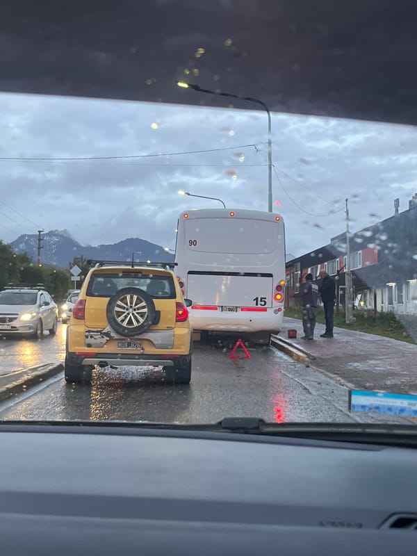 Everyday moments captured in Ushuaia: plants, figurines, parked car