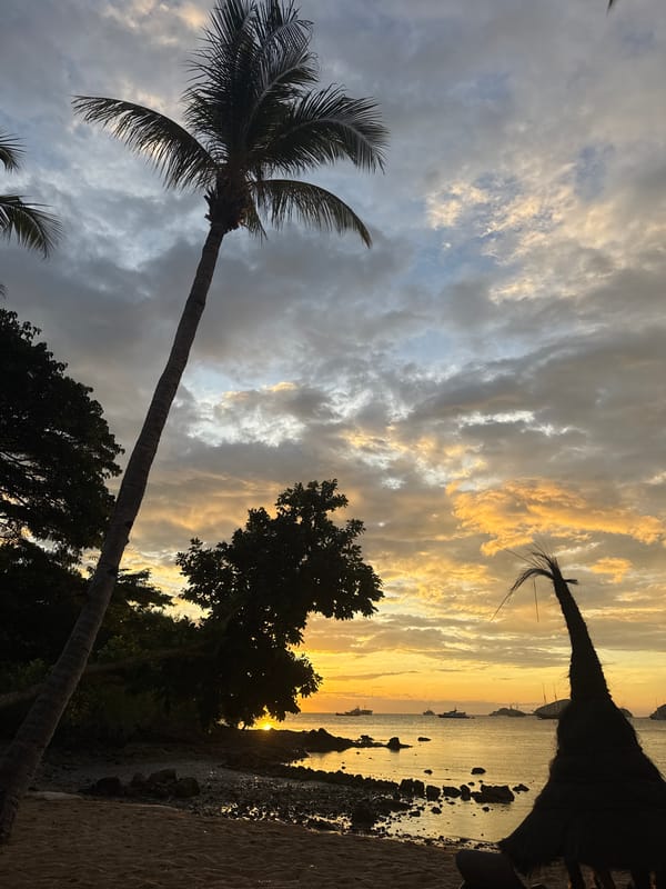 Coastal sunset documented from multiple perspectives at unknown location
