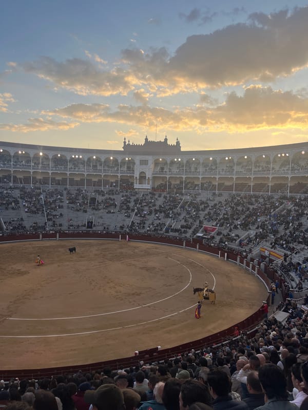 Bullfight draws crowds to Madrid's Las Ventas arena