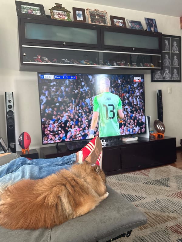 Quiet moment captured in Mexican home with person and dog