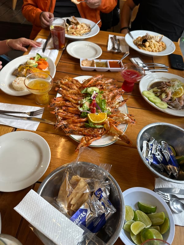 Evening dining scenes captured across Puebla restaurant district