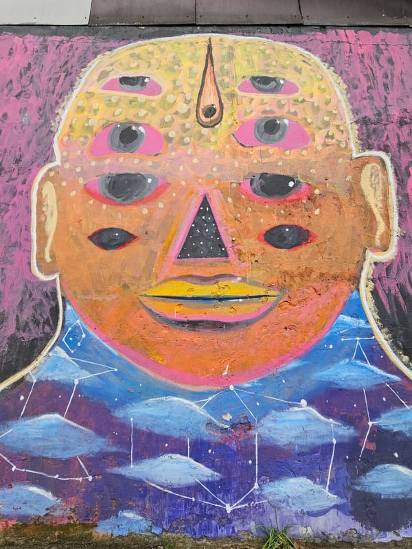 Street art documentation captured across Temuco, Chile neighborhoods