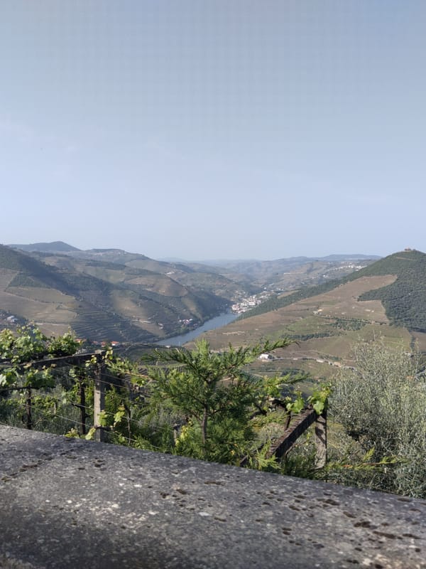 Witness captures Douro Valley panorama from Tabuaço vantage point