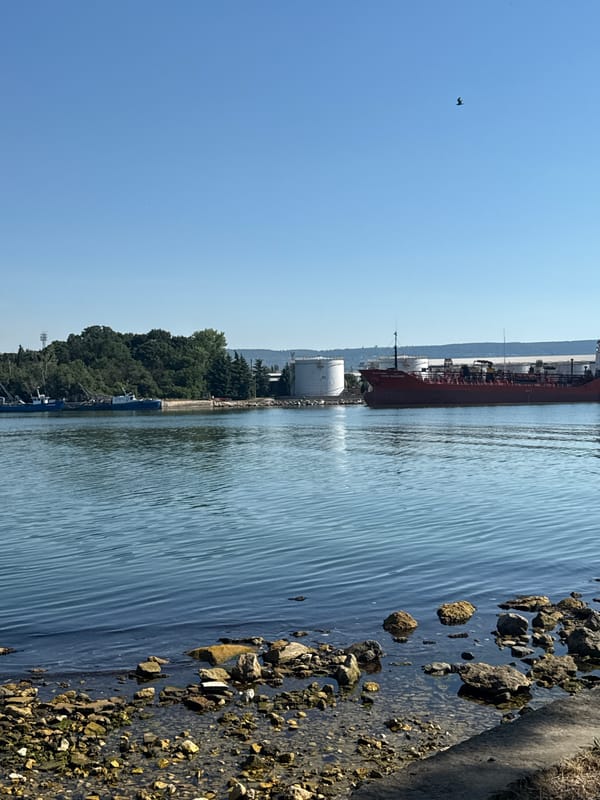Sunny day at a harbor with a docked red cargo ship