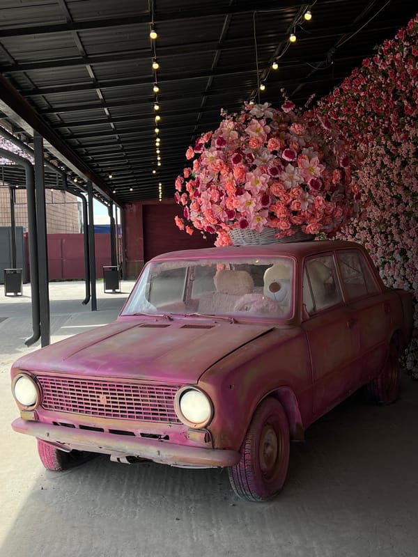 Flower shop and decorated vintage cars documented in Ternopil