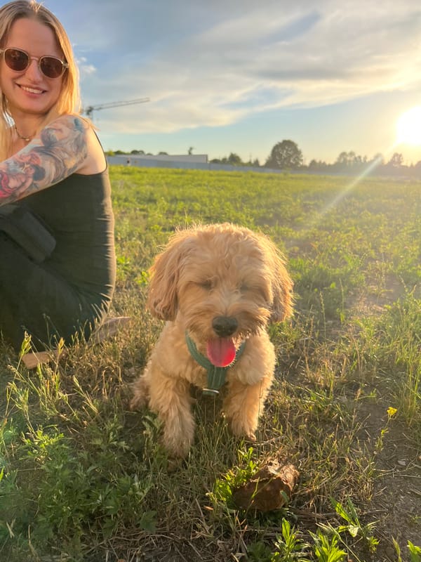 Golden hour hangout with dogs and lemonade in Warsaw