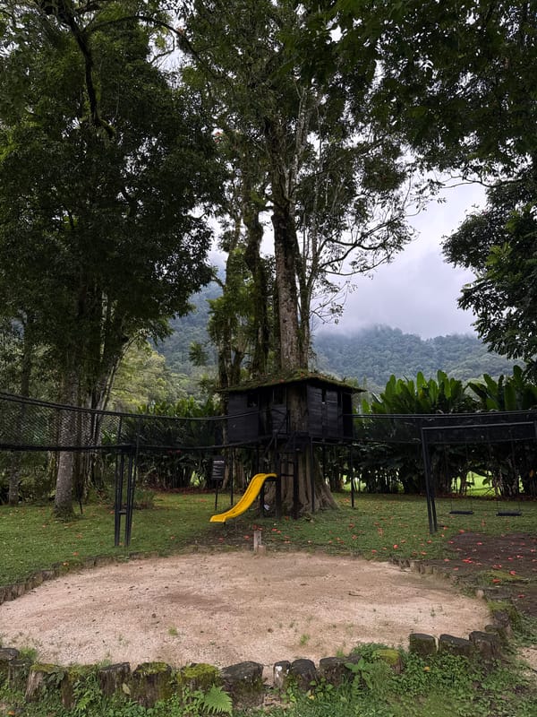 Tourist visits rabbit enclosure, documents scenic Sukasada landscape