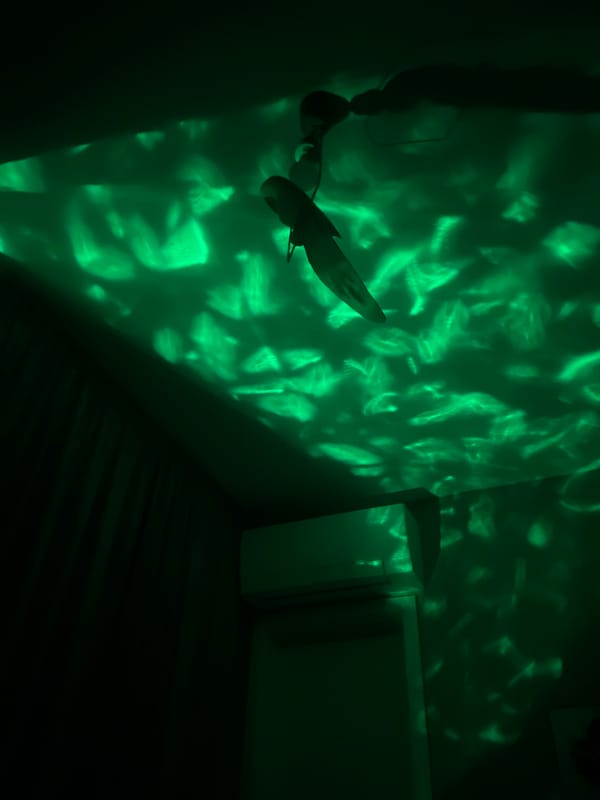 Green light display creates patterns in Plovdiv interior