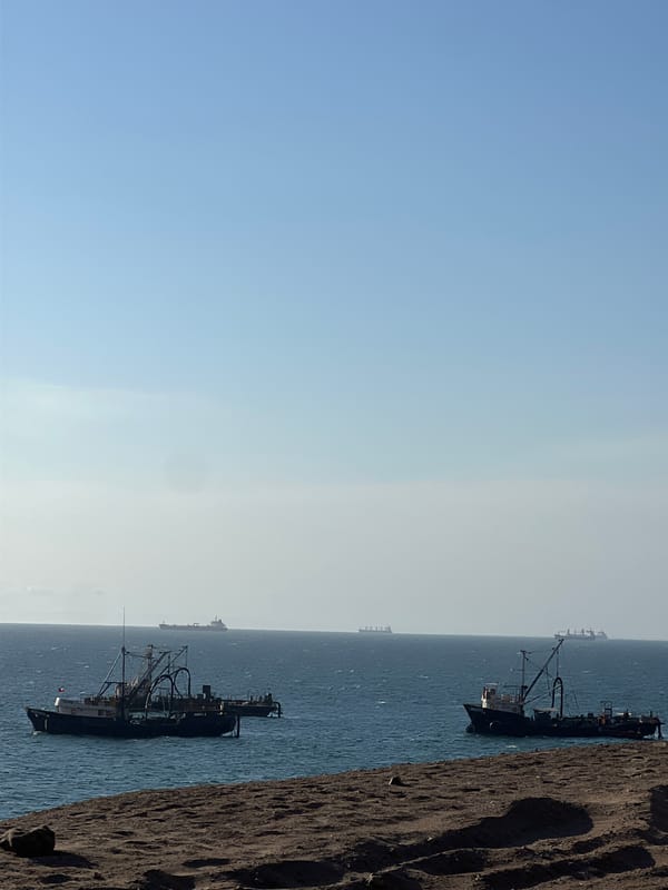 Fishing fleet anchored in Arica bay, Chile
