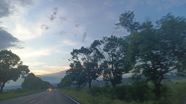 Driver travels tree-lined road near Aytos, Bulgaria