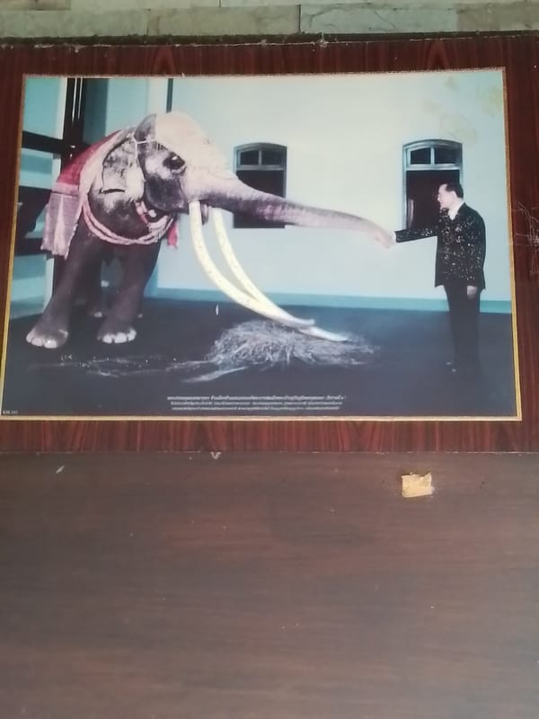 Ceremonial elephant artwork photographed against wooden panel