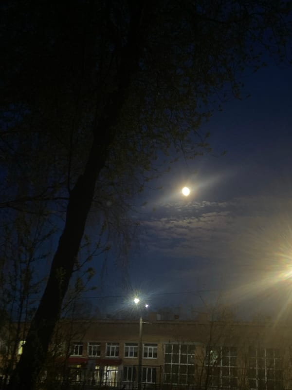 Nighttime scene documented in Izhevsk, Russia shows illuminated contrasts