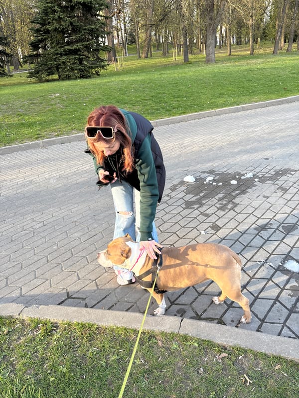Woman walks dog near Ferris wheel in Minsk park