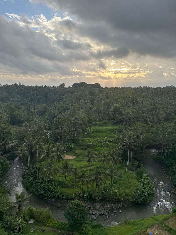 Tourist captures Ubud's tropical scenery and flaming cocktails