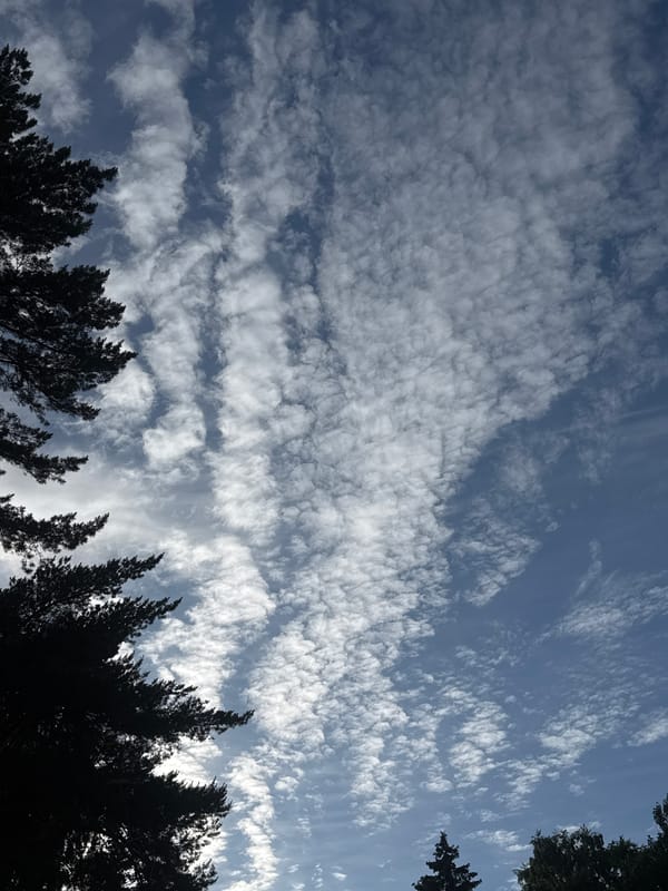 Rippled altocumulus clouds over Tallinn on a summer afternoon