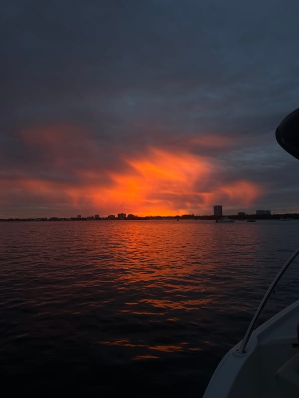 Sunset over water with city skyline witnessed by multiple observers