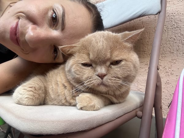 Lazy Sunday with ginger cat and home cooking