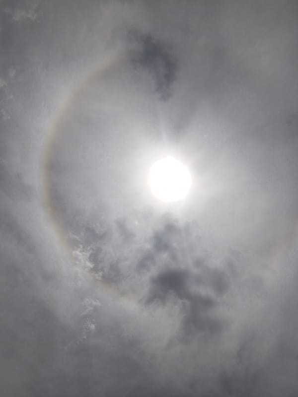 Mixed observations: solar halo, dogs, parked bus recorded