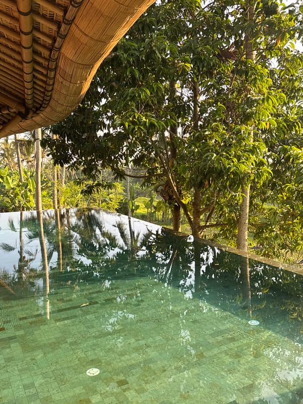 Morning at a bamboo resort in Tegallalang, Bali