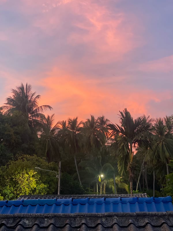 Sunset documented through palm trees in Baan Kai, Thailand
