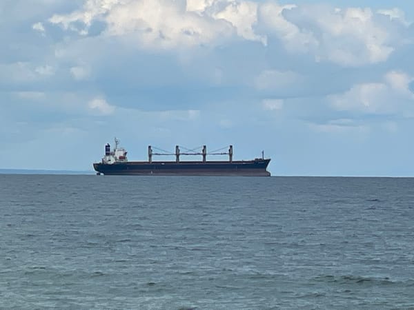 Cargo ship spotted off Varna coast under cloudy skies