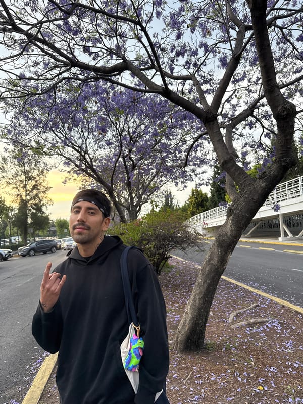 Man poses with blooming Jacaranda tree in Puebla