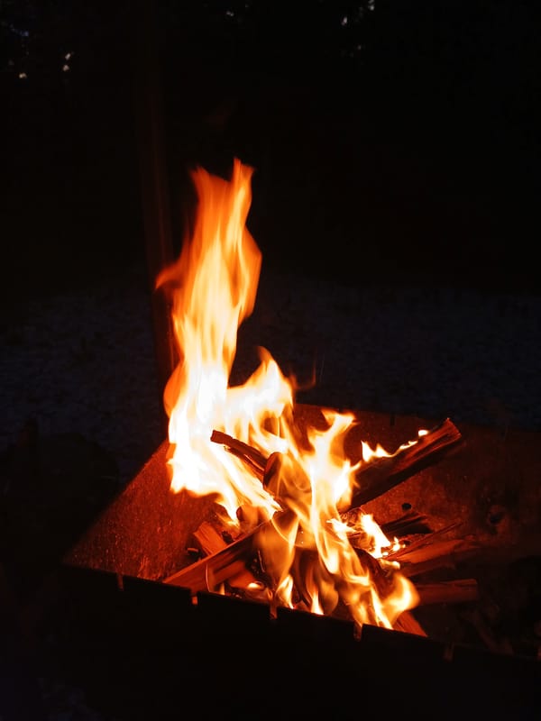 Campfire evening at a Russian dacha, summer 2026
