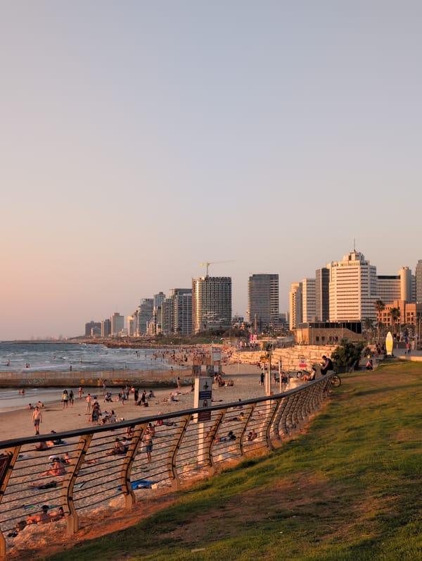 Tel Aviv beach at golden hour, people and dogs in the surf