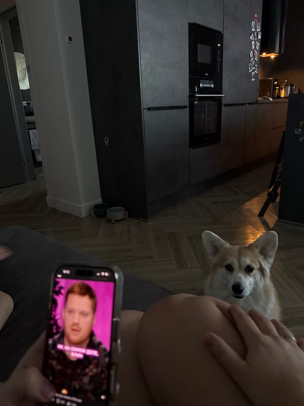 Corgi watches owner using smartphone in Krasnoyarsk home