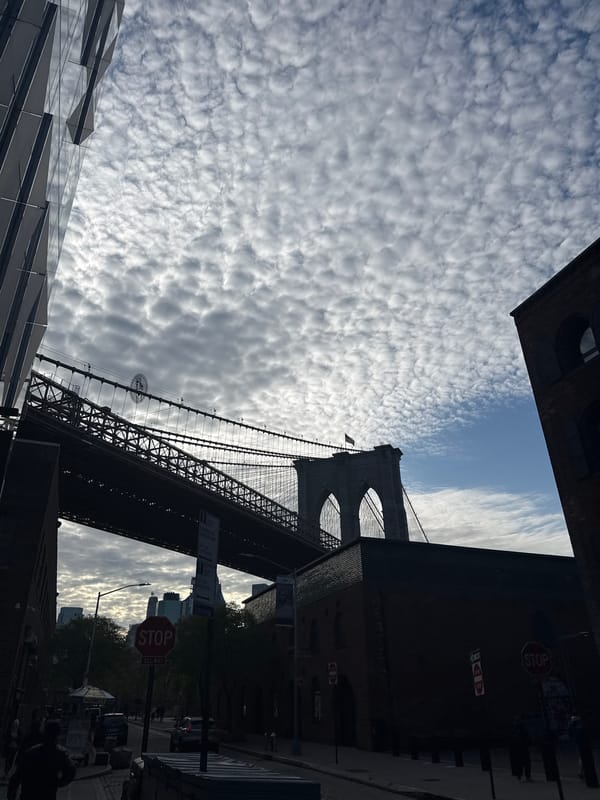 Brooklyn Bridge photographed against dramatic evening sky from street
