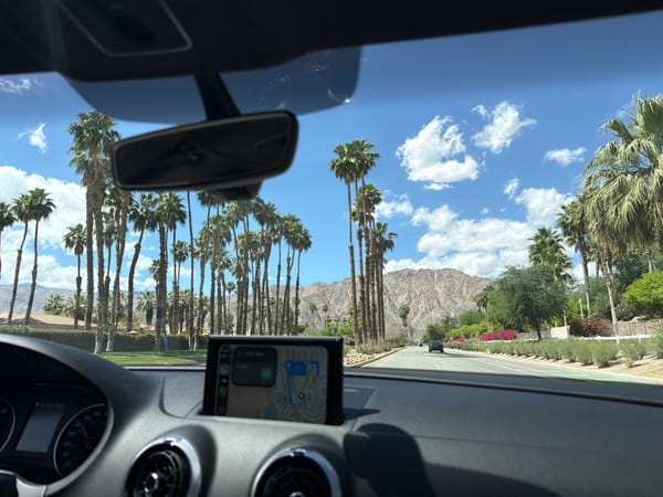Evening drive captured along palm-lined La Quinta road