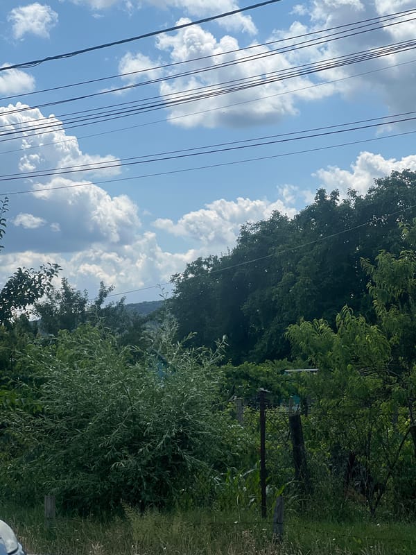 Slow walk through Bârnova's roadside greenery on a summer morning