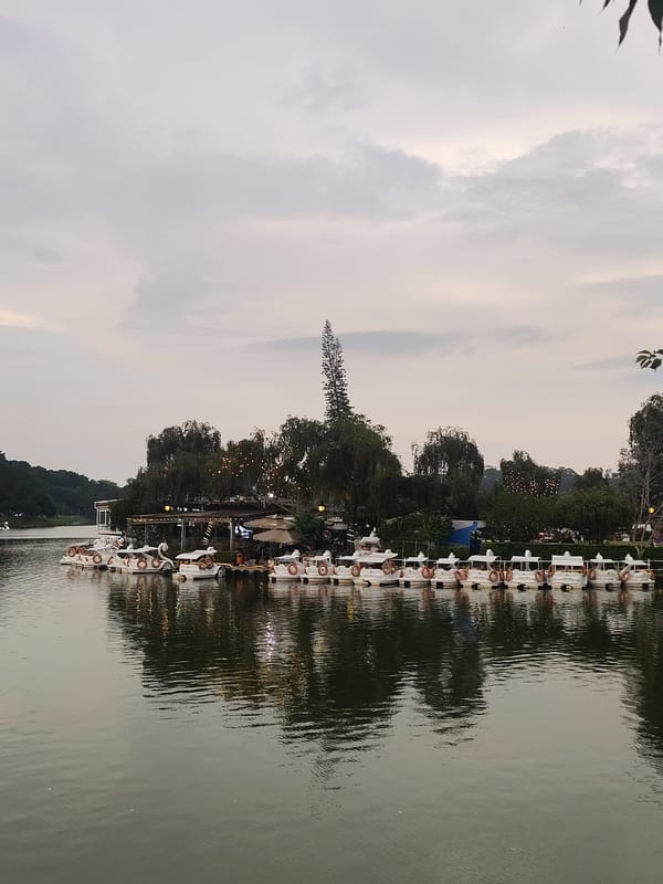 Afternoon life unfolds around Da Lat's Xuan Huong Lake