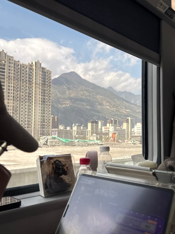 Train passenger captures window view while traveling through Longnan