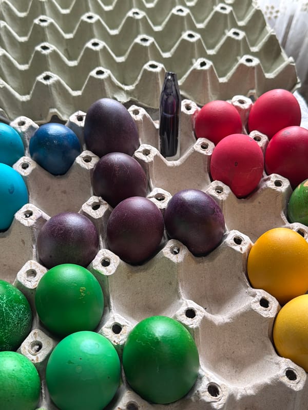 Rainbow-colored dyed eggs displayed in carton in Krushari, Bulgaria