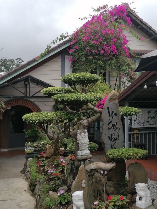 Street-level scenes from a Da Lat neighborhood: food, facades, and everyday life.