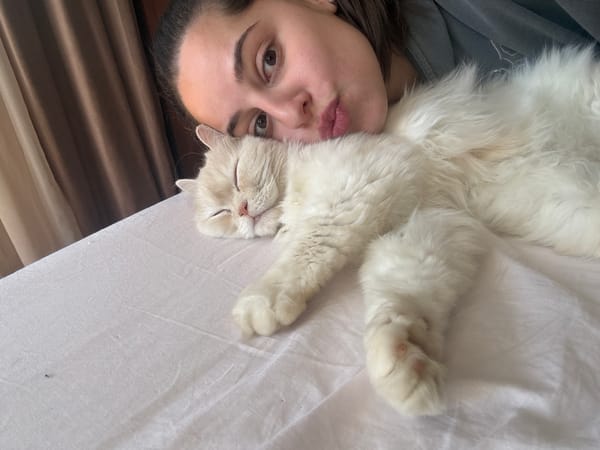 Woman photographs quiet morning moments with sleeping cat in Bulgaria