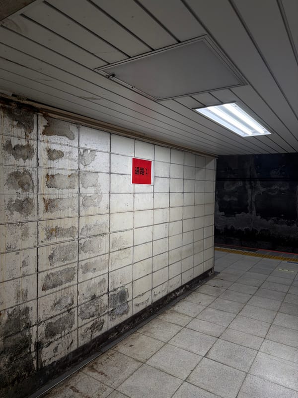 Transit scenes documented at Sumida station facility