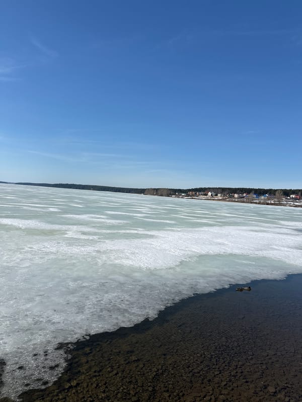 Family records pets and toddler playing at home