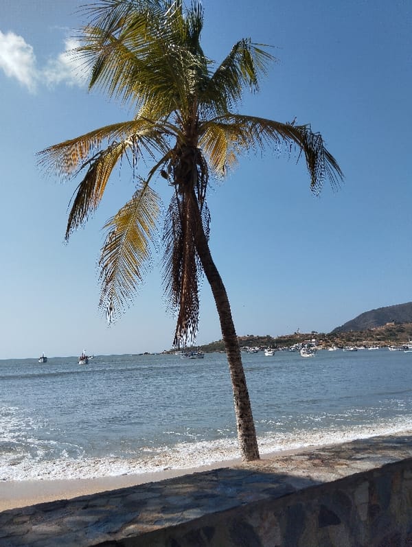 Evening beach scenes documented in Juan Griego, Venezuela