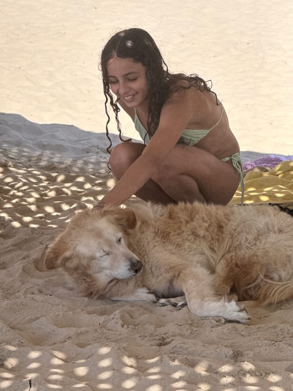 Woman plays with golden retriever on Tel Aviv beach