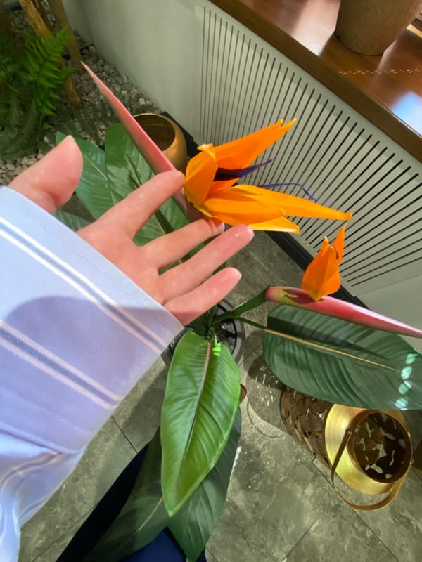 Morning moments captured in Votkinsk, Russia across indoor and outdoor settings