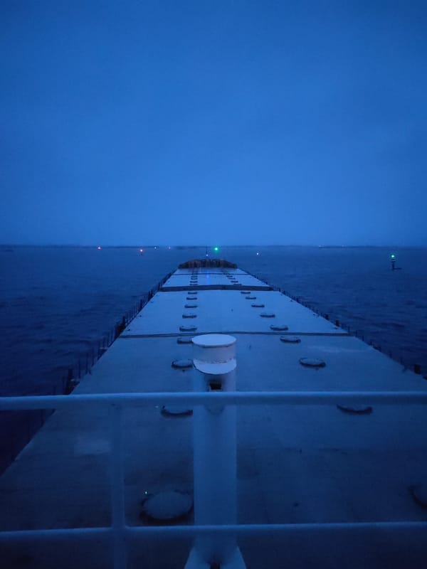 Ship passenger records nighttime deck view near Bereg, Russia