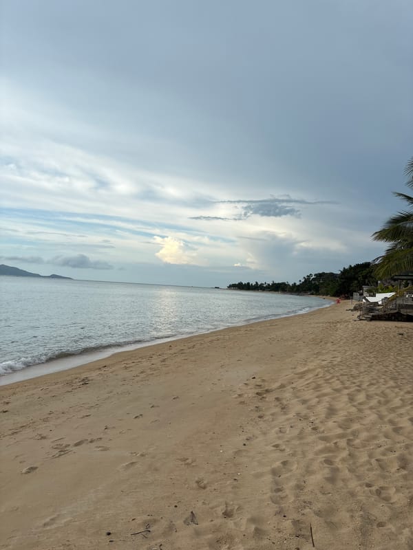 Woman walks three dogs on Thai beach morning